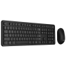 ASUS CW100 Wireless combo