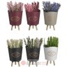INART CVIJECE U SAKSIJI PLANT IN POT 6 COLORS 7X7X16