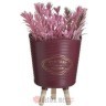 INART CVIJECE U SAKSIJI PLANT IN POT 6 COLORS 7X7X16