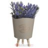INART CVIJECE U SAKSIJI PLANT IN POT 6 COLORS 7X7X16