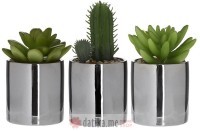INART CVIJECE U SAKSIJI SUCCULENT IN A POT 3 DESIGNS D6Χ12 (Silver)