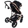 Jungle kolica "Oxy" DUO CRNA GOLD