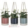 INART CVIJECE U SAKSIJI Φ10X34