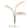 INART CVIJET PAMPAS BEIGE 87cm