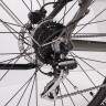 MS ENERGY eBike t100 Trekking bicikl
