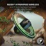 Razer DeathAdder v2 Pro Wireless Gaming Mouse
