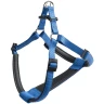 FERPLAST AM DAYTONA P MEDIUM 