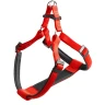 FERPLAST AM DAYTONA P MEDIUM 