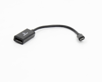 E-Green Adapter USB 3.1 tip C (M) - Display Port (F) crni 