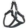 FERPLAST AM DAYTONA P LARGE  в Черногории