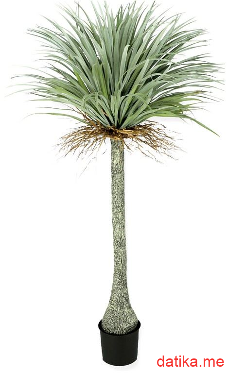 Emix Garden Vještačka biljka Yucca 180cm в Черногории